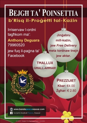 Bejgħ ta' Poinsettia b'risq il-Proġetti tal-Każin