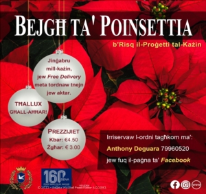 Bejgħ ta' Poinsettia b'Risq il-Proġetti tal-Każin